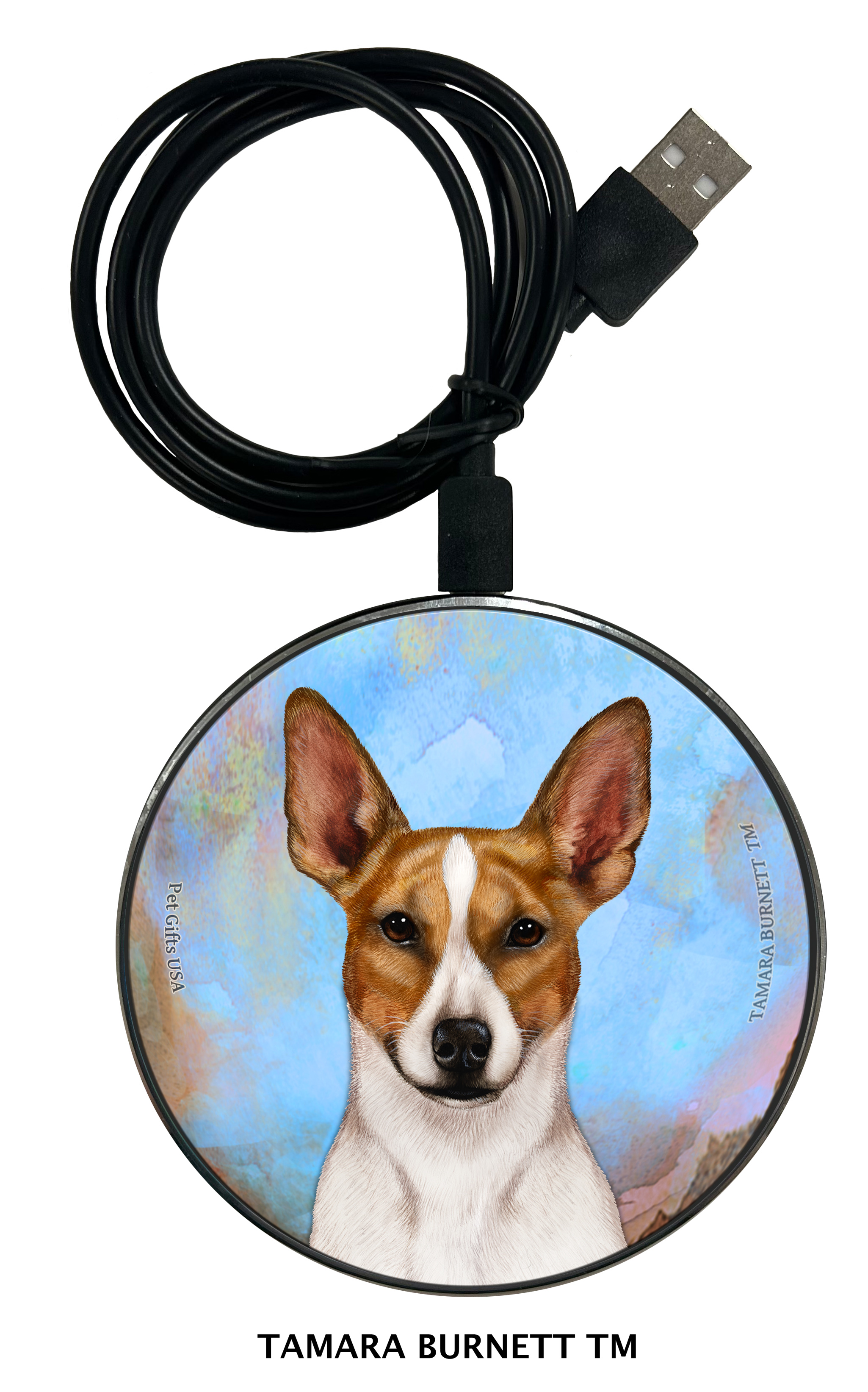 Zoomies Chargers sample image